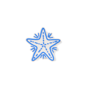 Bogg Bit  - Blue Starfish - Collection